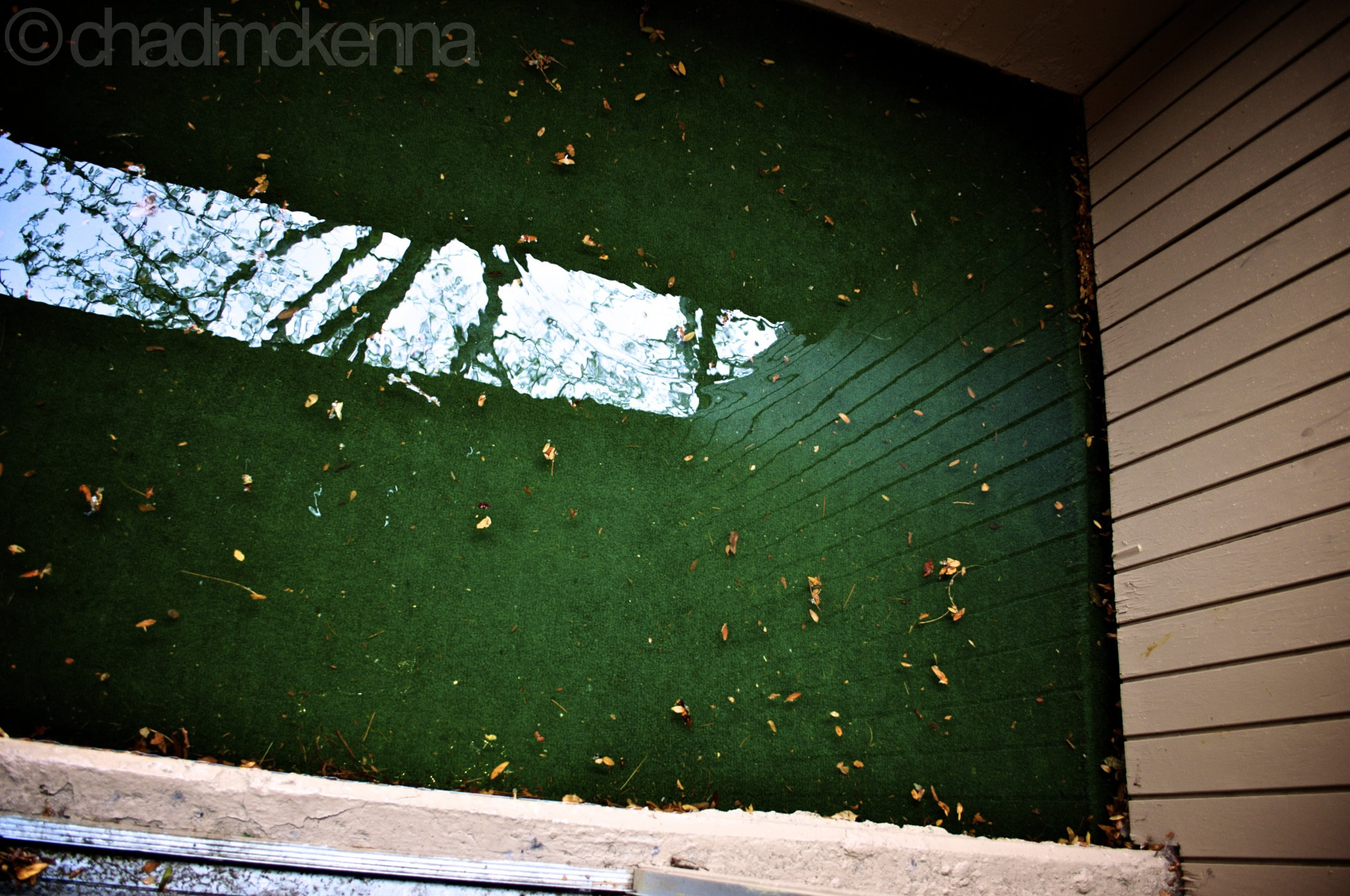 Standing Water on our Back Porch. (Nikkor 18-55mm, 18mm, 1/125, F/3.5, ISO 400 on D5000)