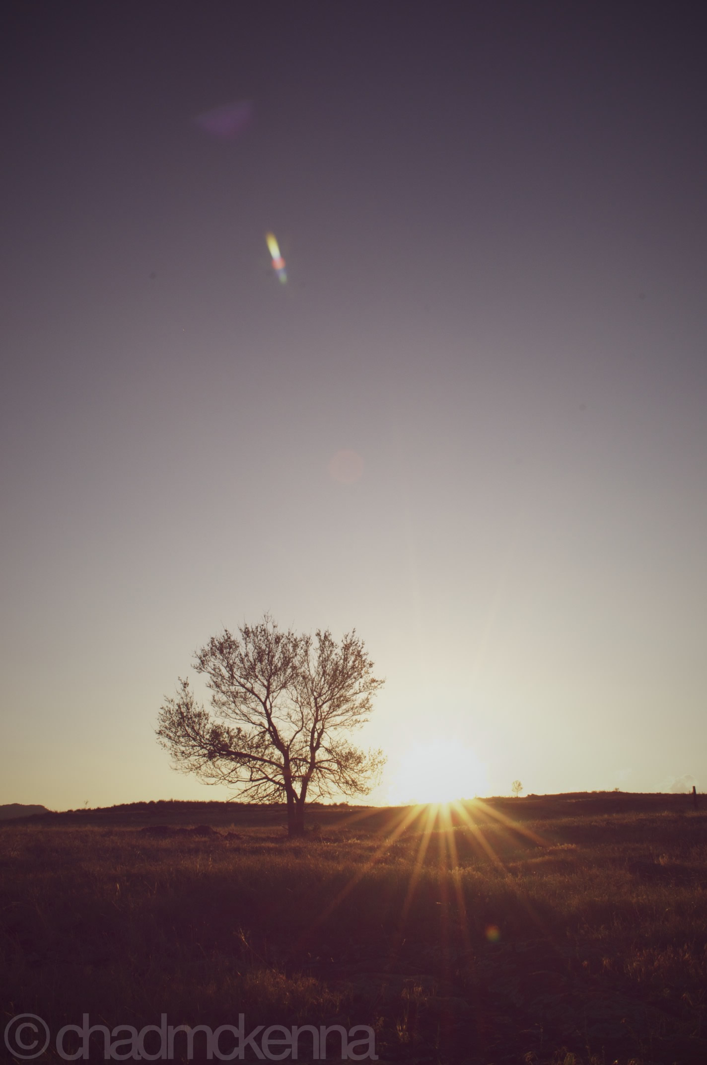 A tree again! (Nikkor 18-55mm, 18mm, 1/125, F/22, 2 ev, ISO 400 on D5000)
