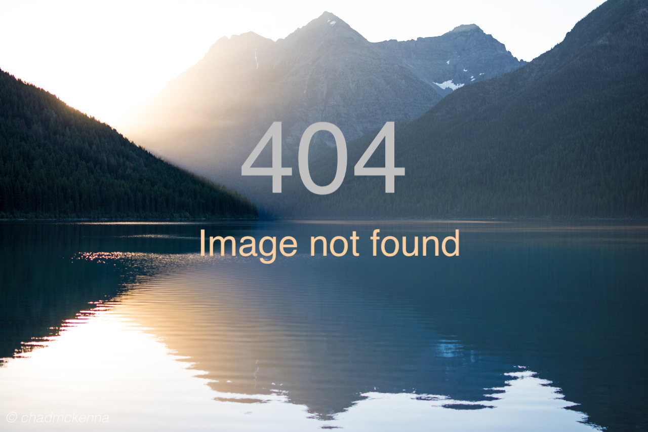 404