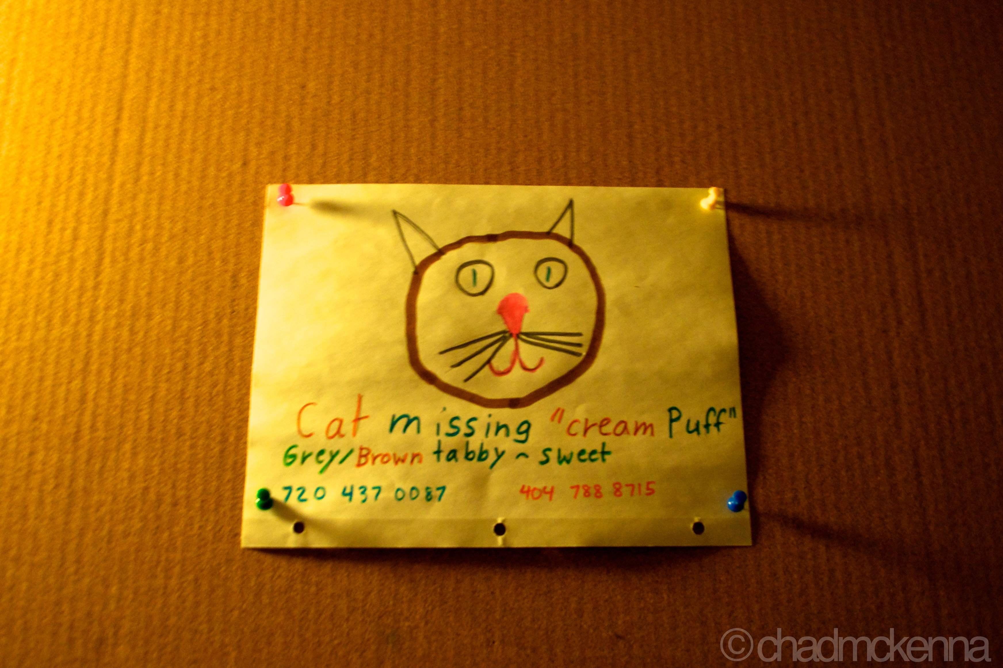 Lost Kitty. (Nikkor 18-55mm, 18mm, 1/6, F/3.5, ISO 1000 on D5000)