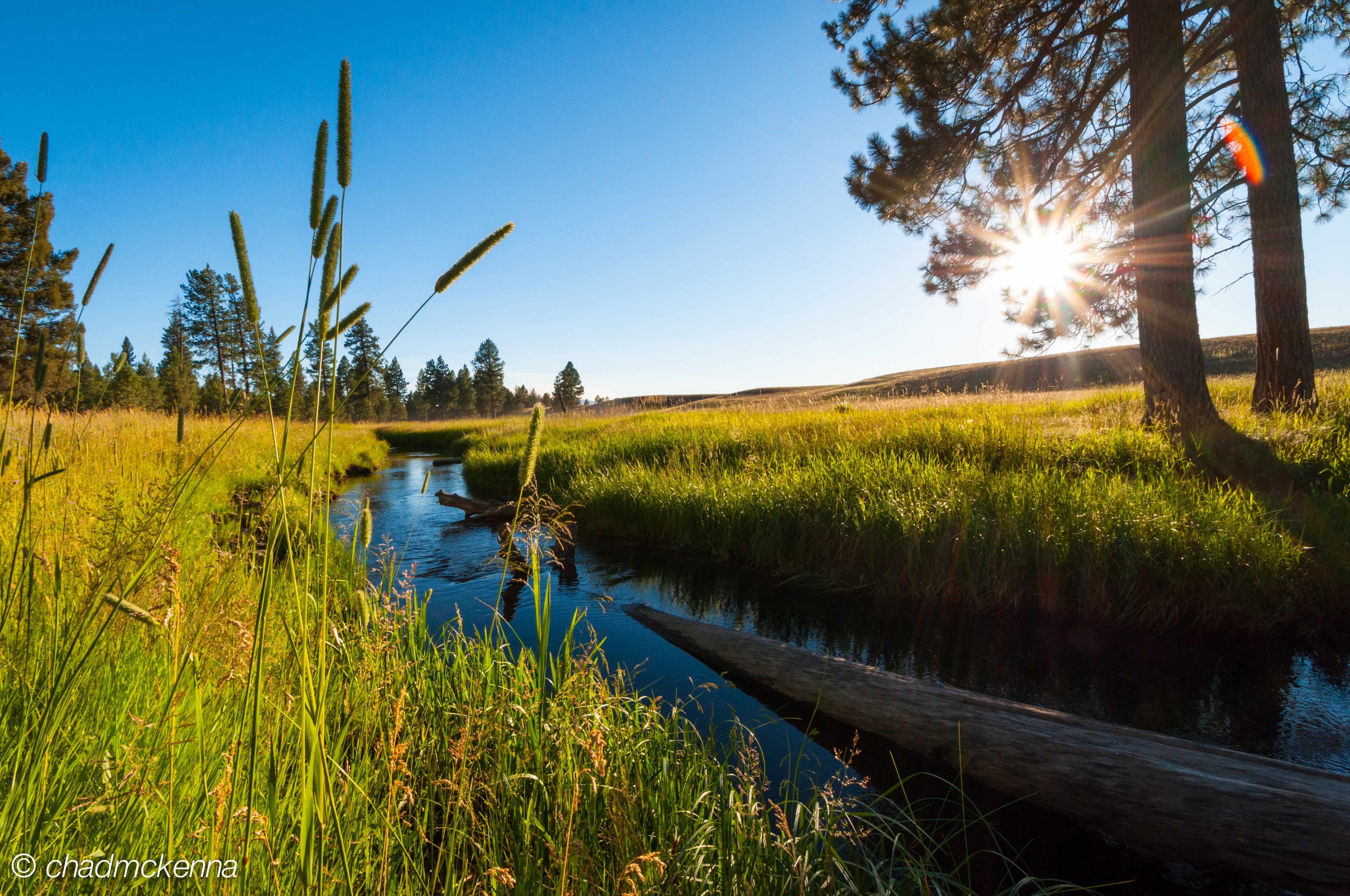 Beautiful Creek in Montana