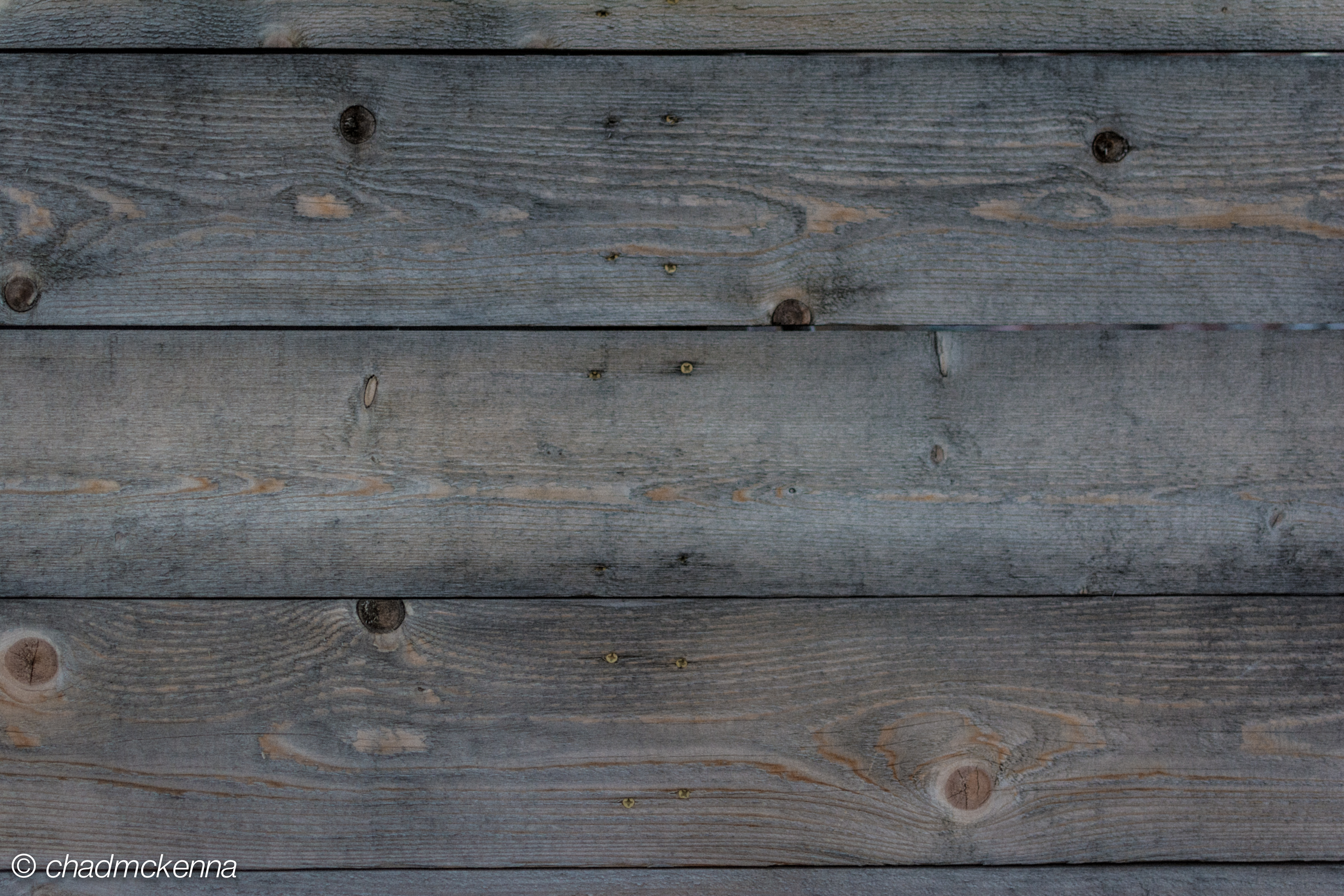 Houston Marathon Adventure