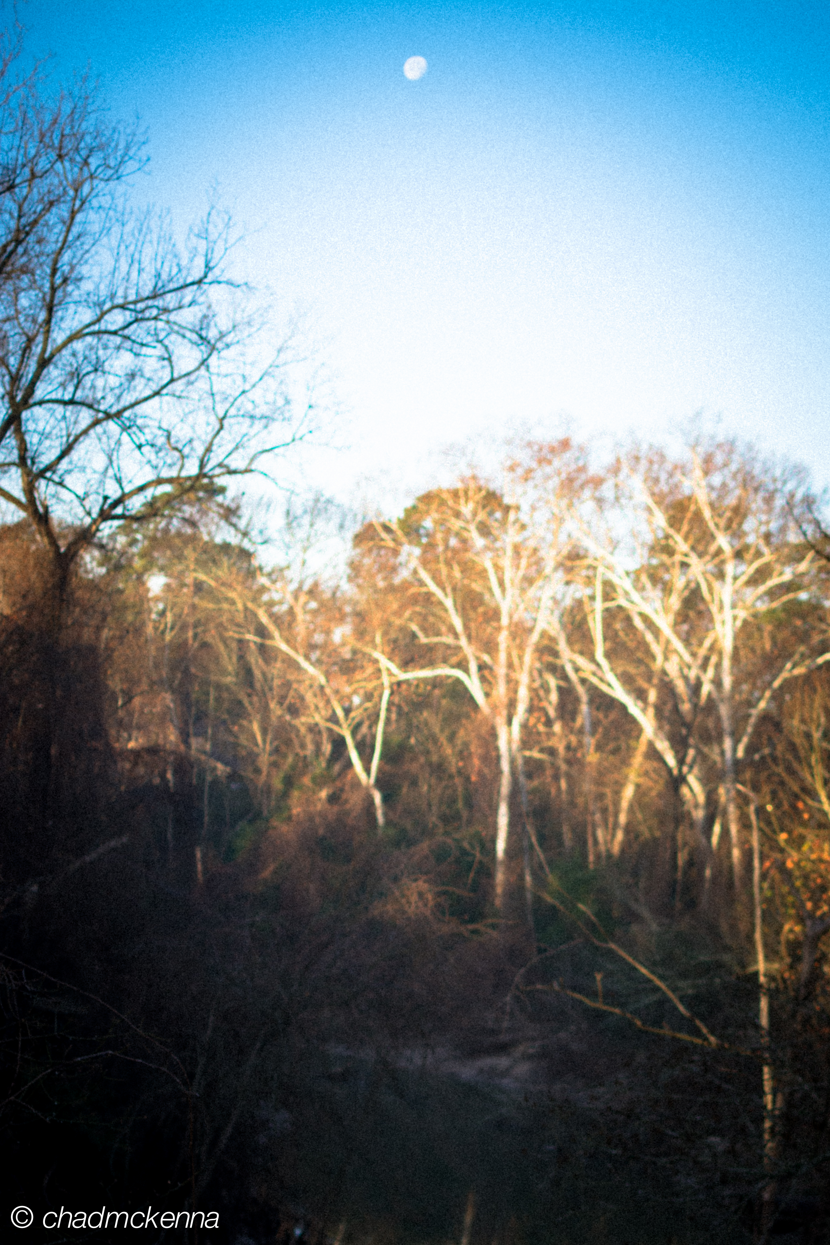 A picture taken off a bridge of the Buffalo Bayou