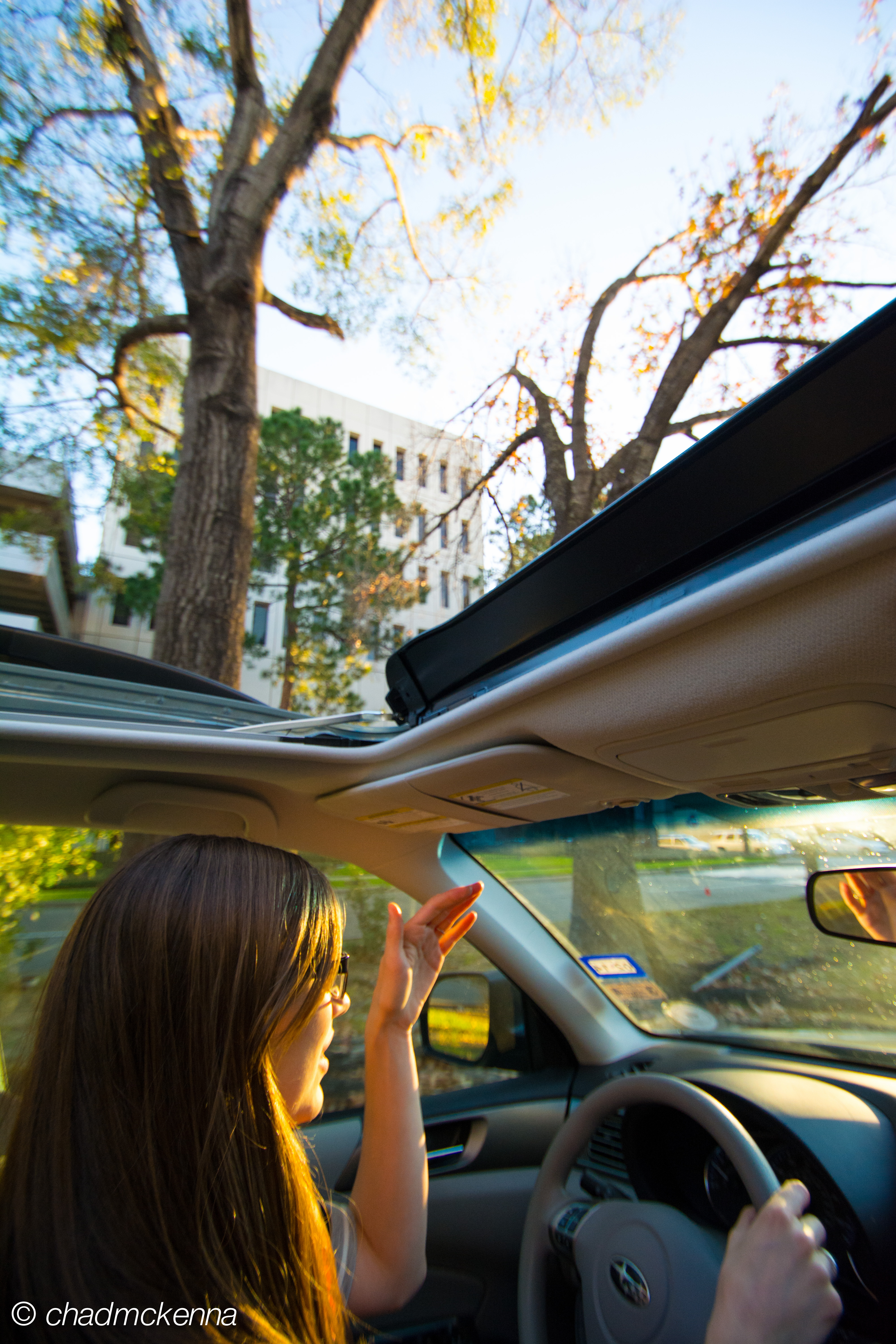 How Beer Changed My Life And Why You Should Drink More