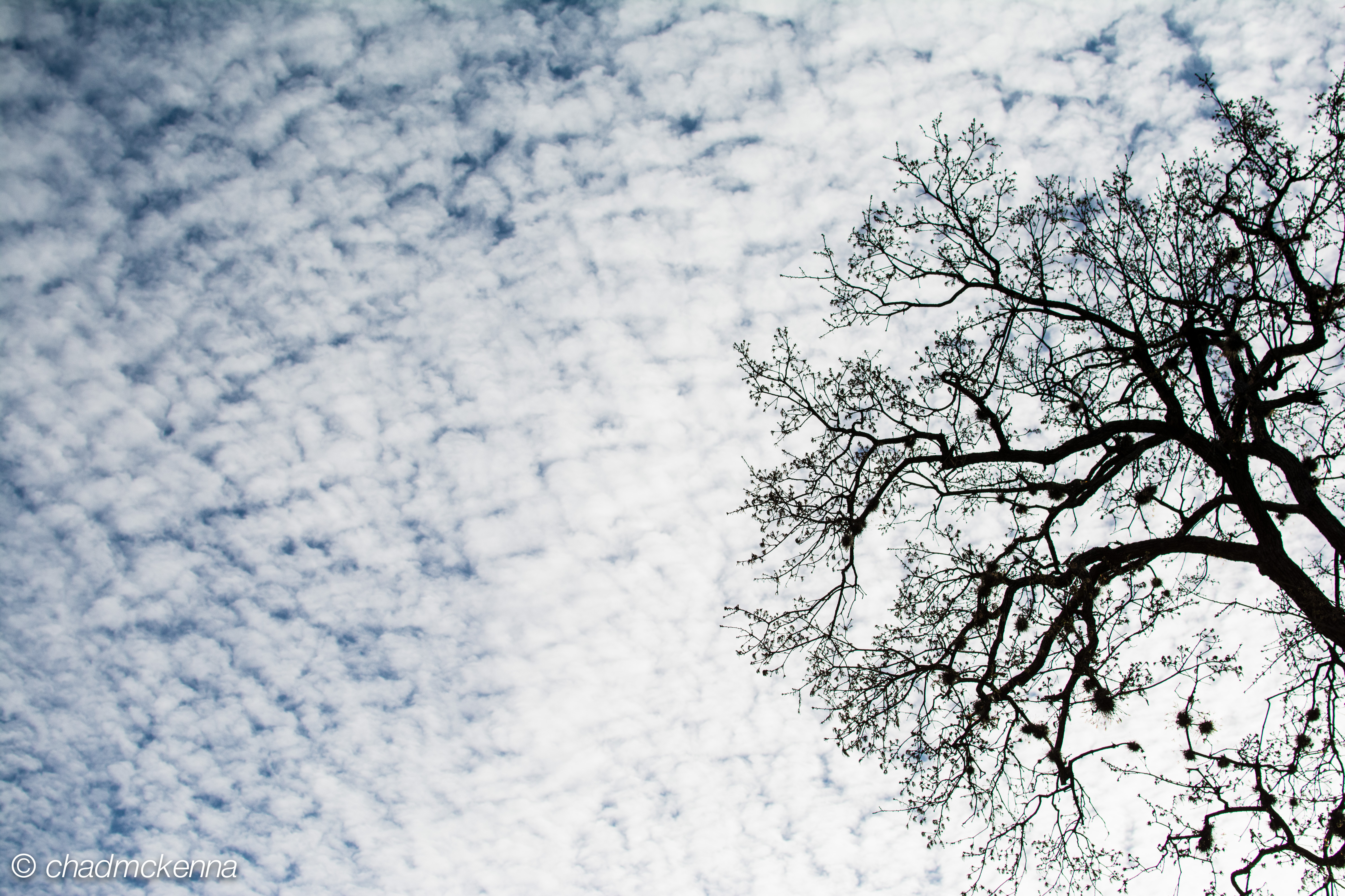 The 7 Reasons I Party Erryday