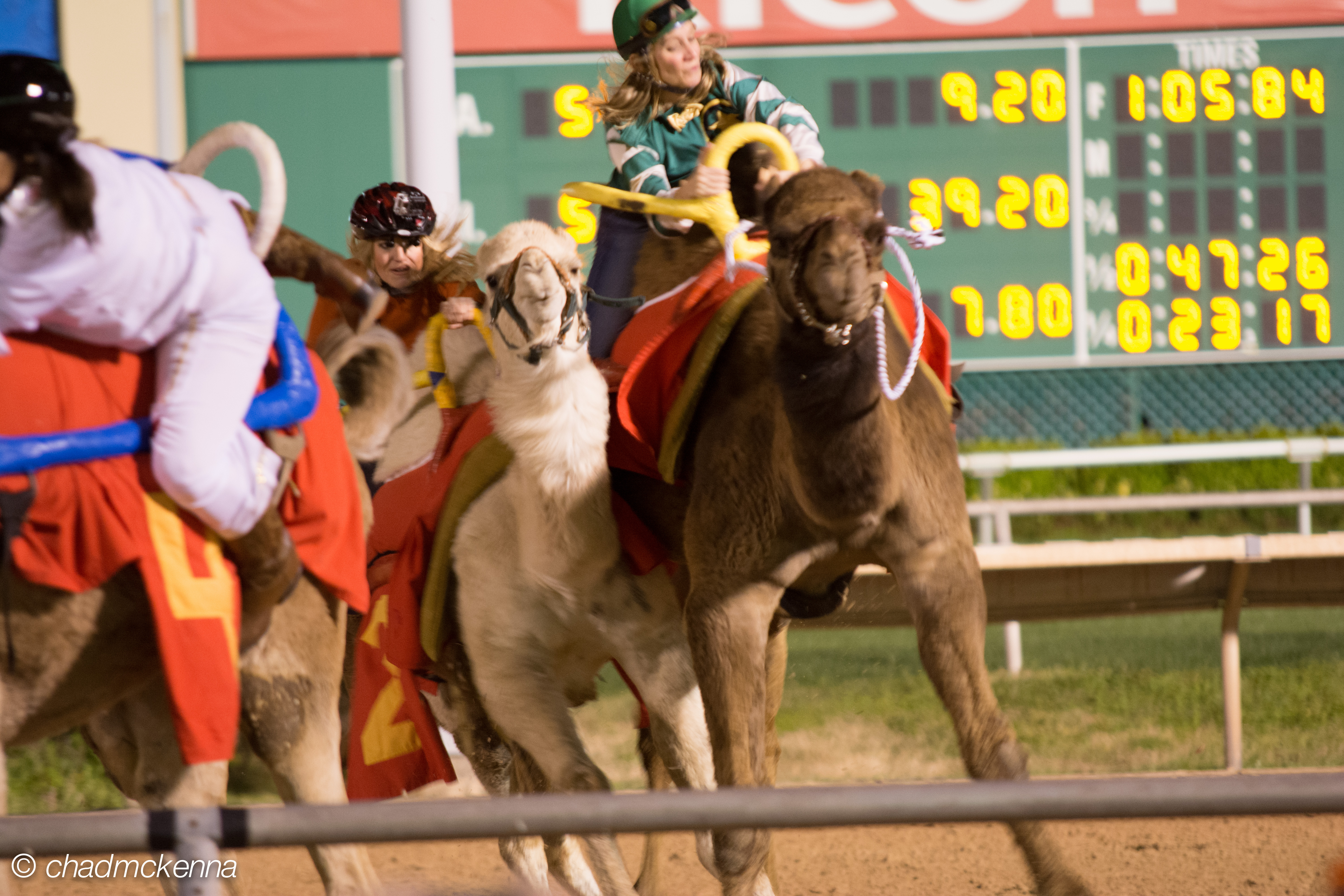 Extreme Camel Closeup!