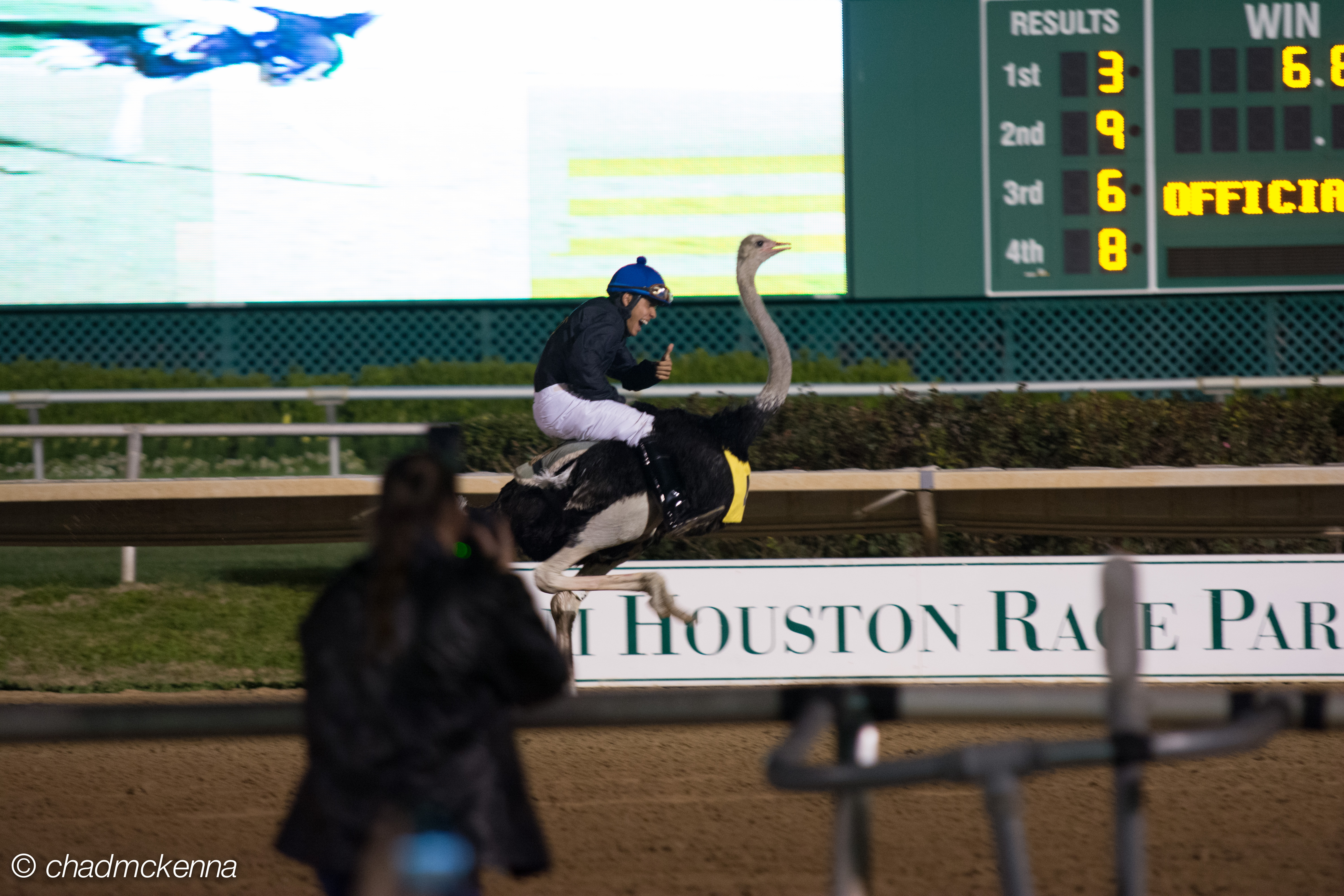 And he's on an Ostrich!