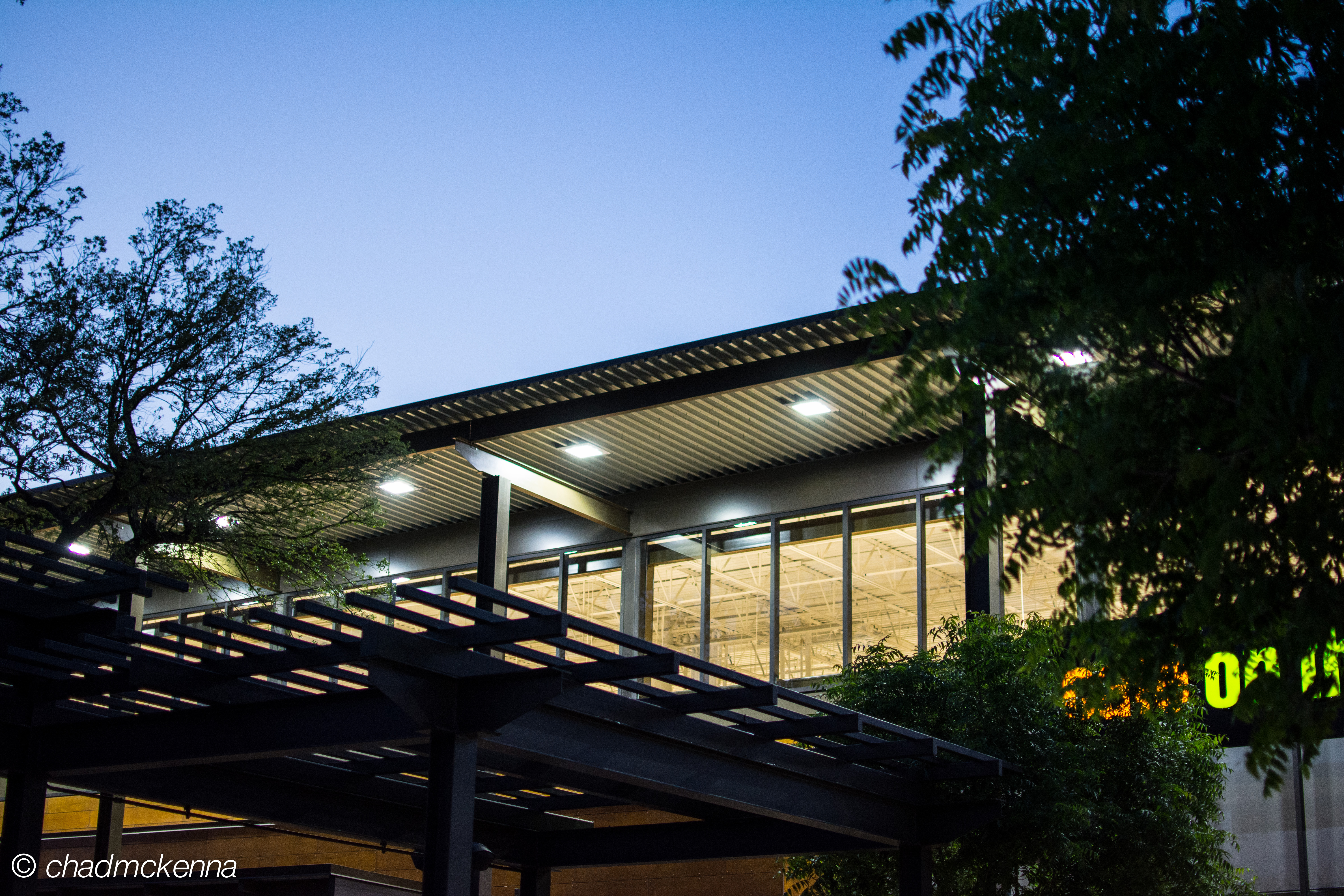 Pre-wedding Houston Pics (and Hawks!)