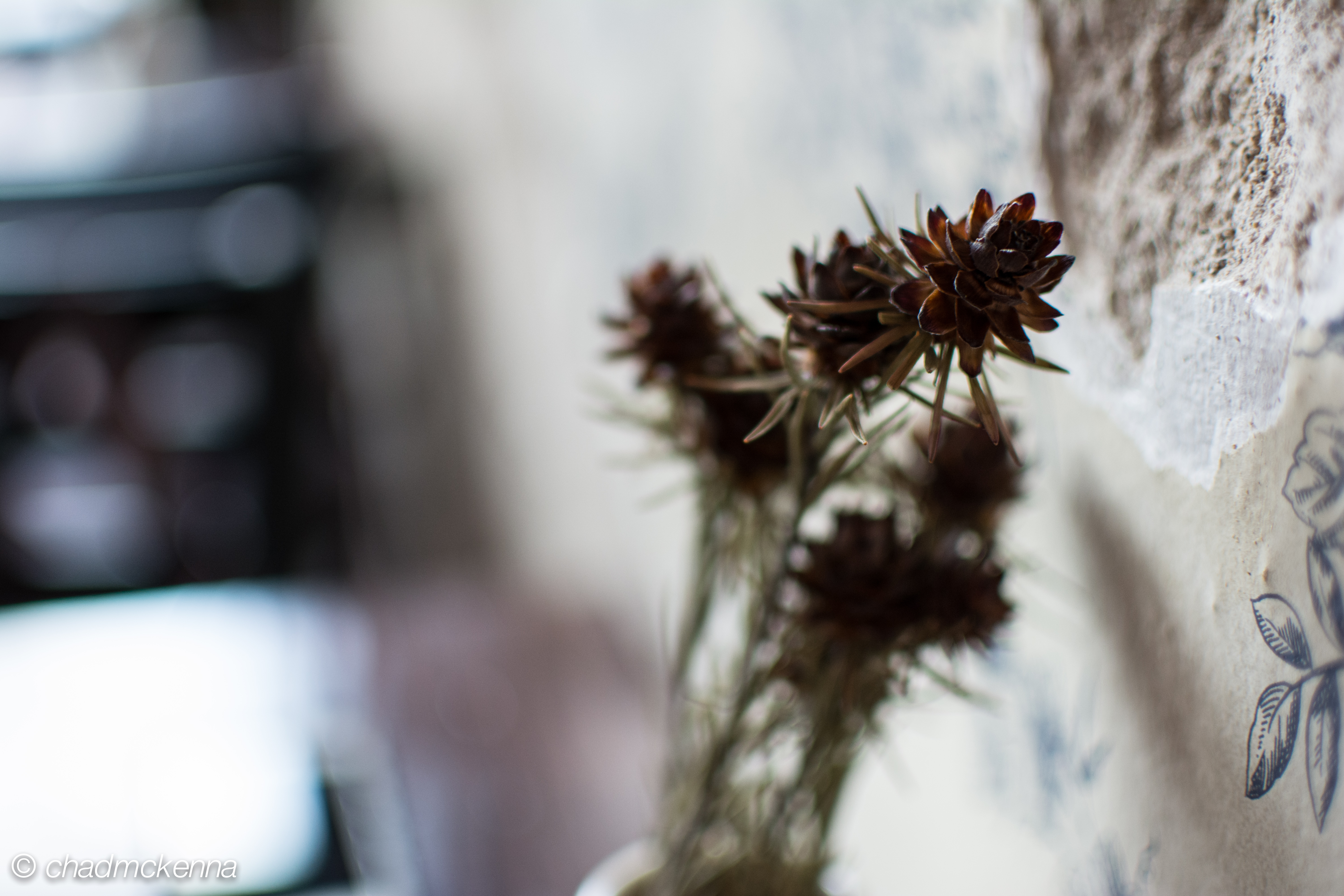 Lunch in Minneapolis