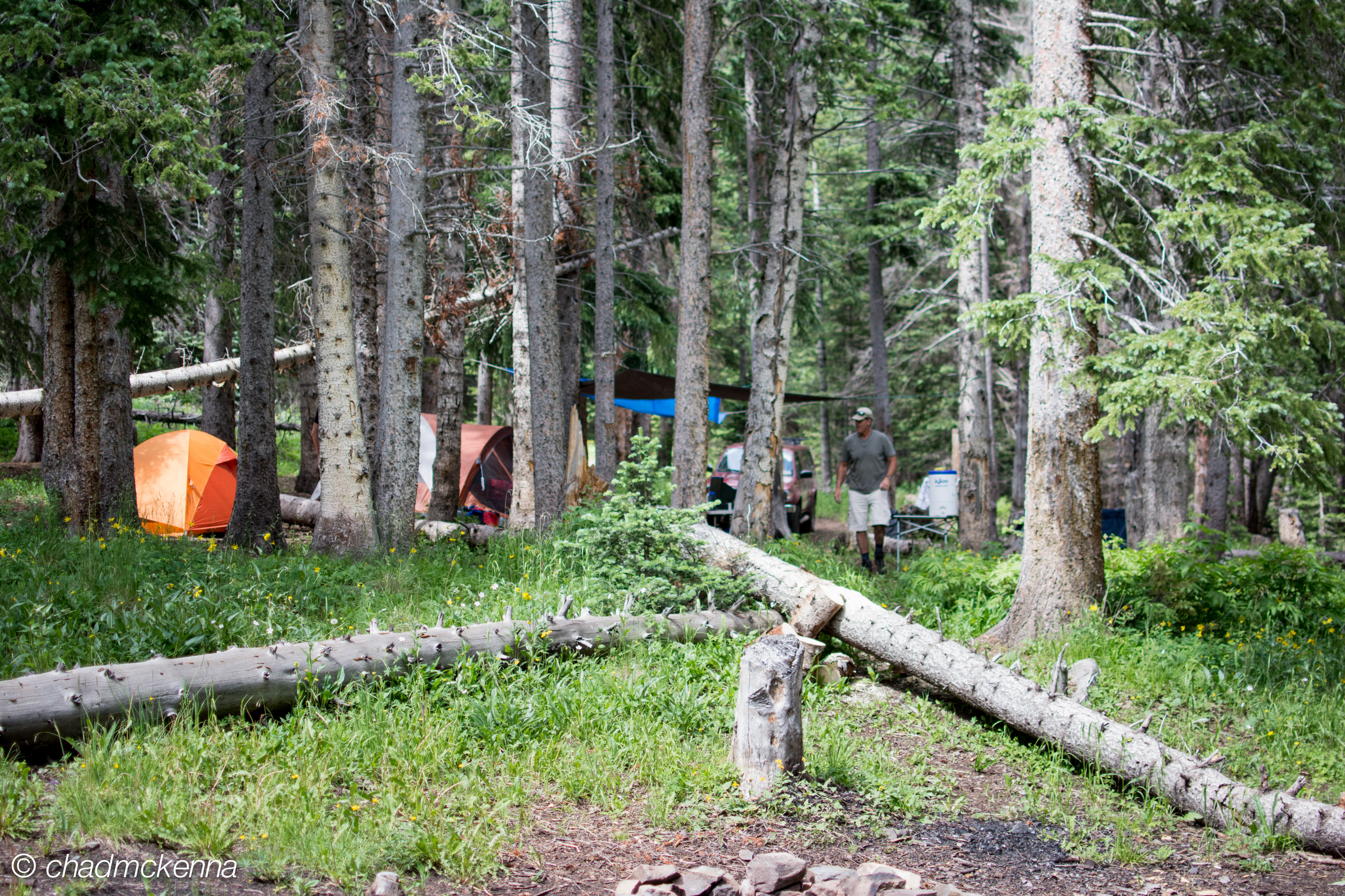 Guns, Beer, and Fishing (in Colorado)
