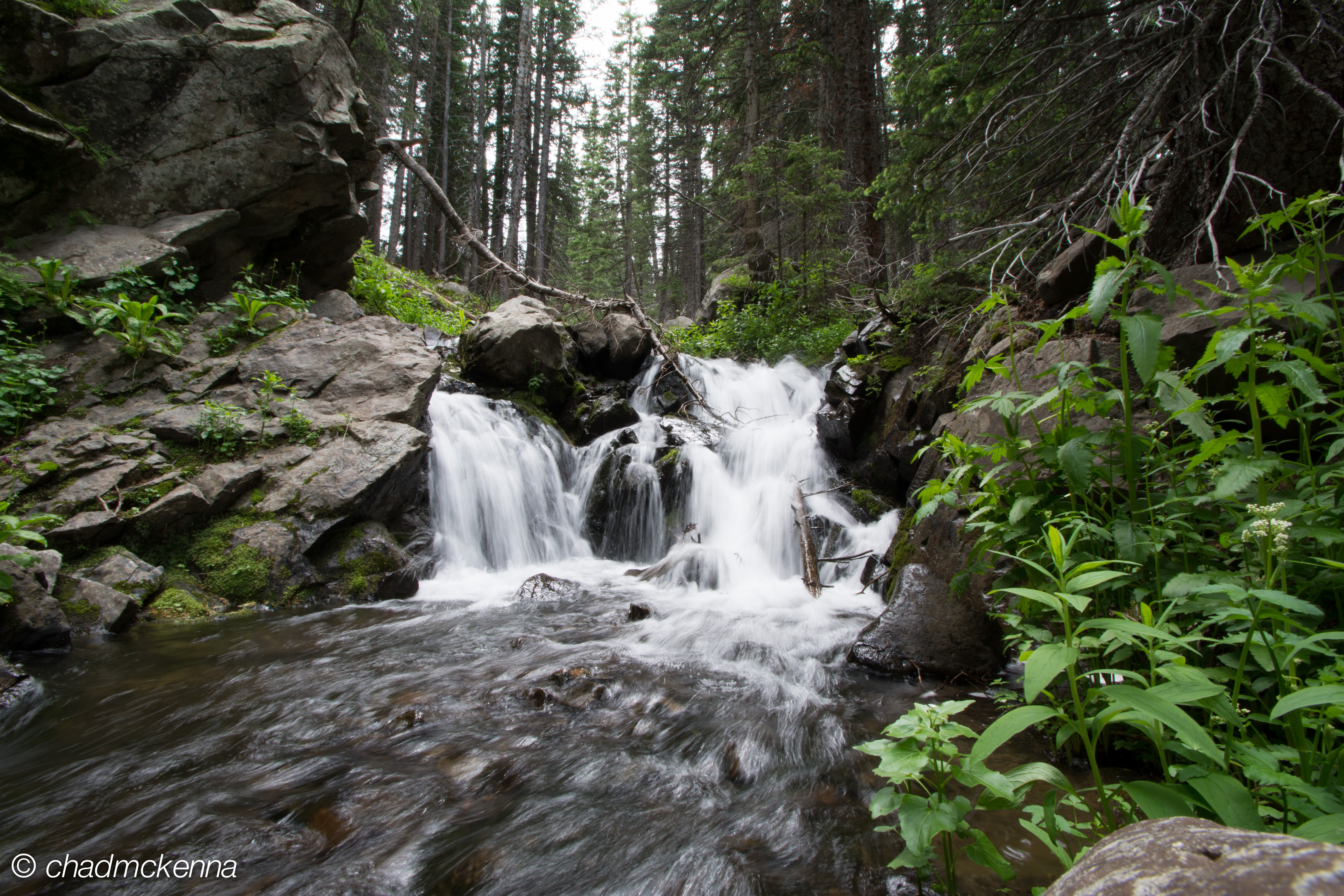 Creek right next to camp