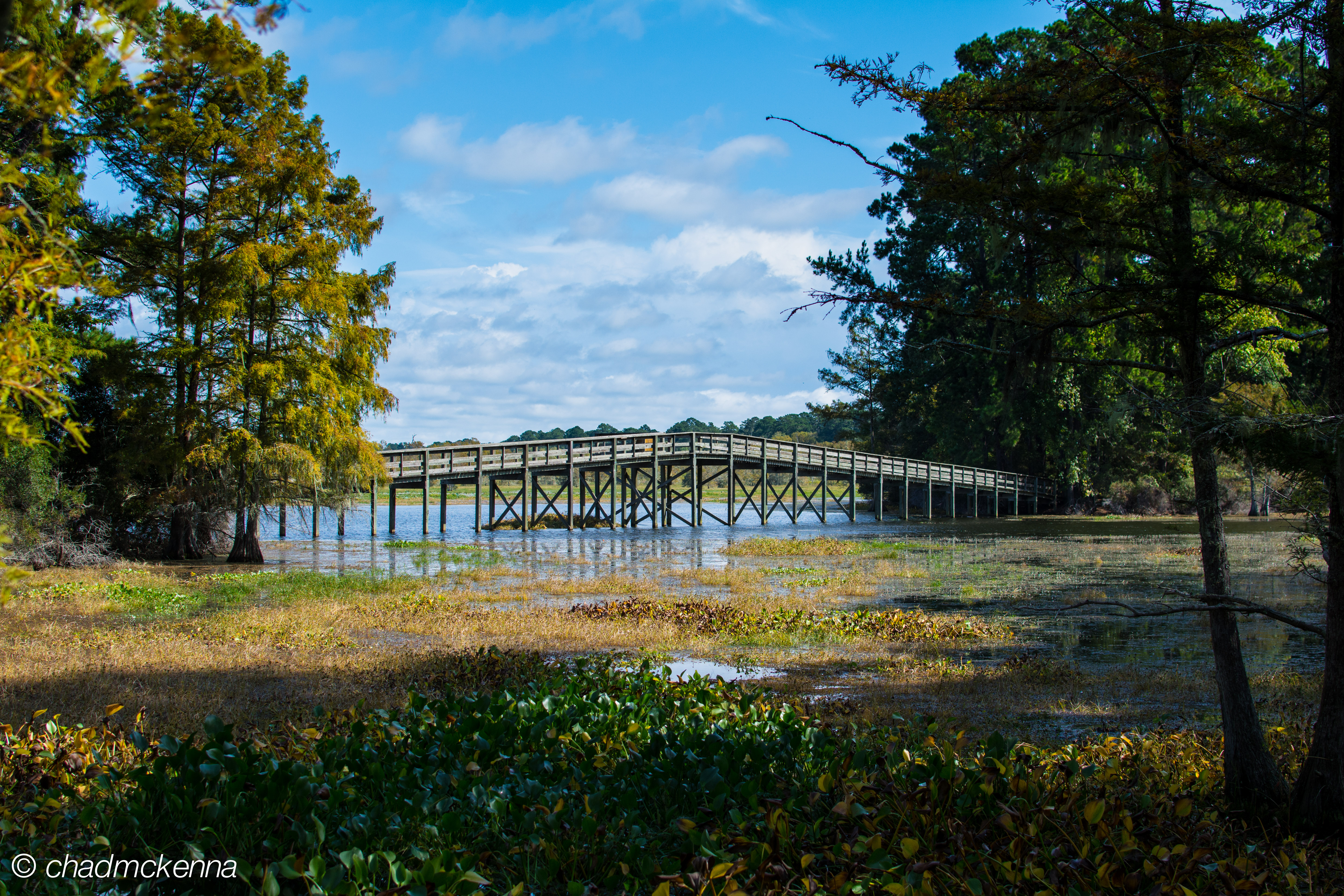 Hiking near the bridge