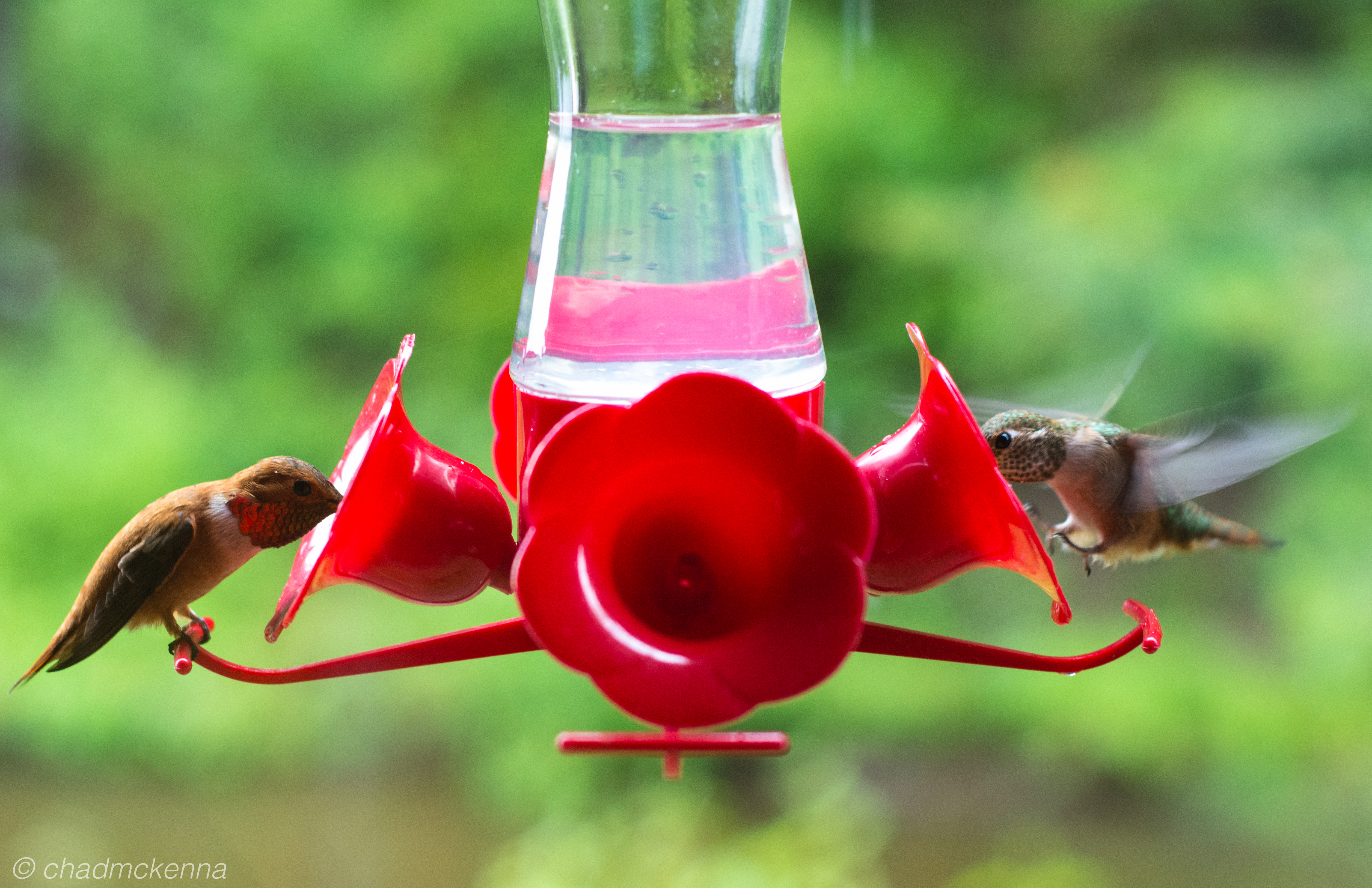 Family Trip to Montana