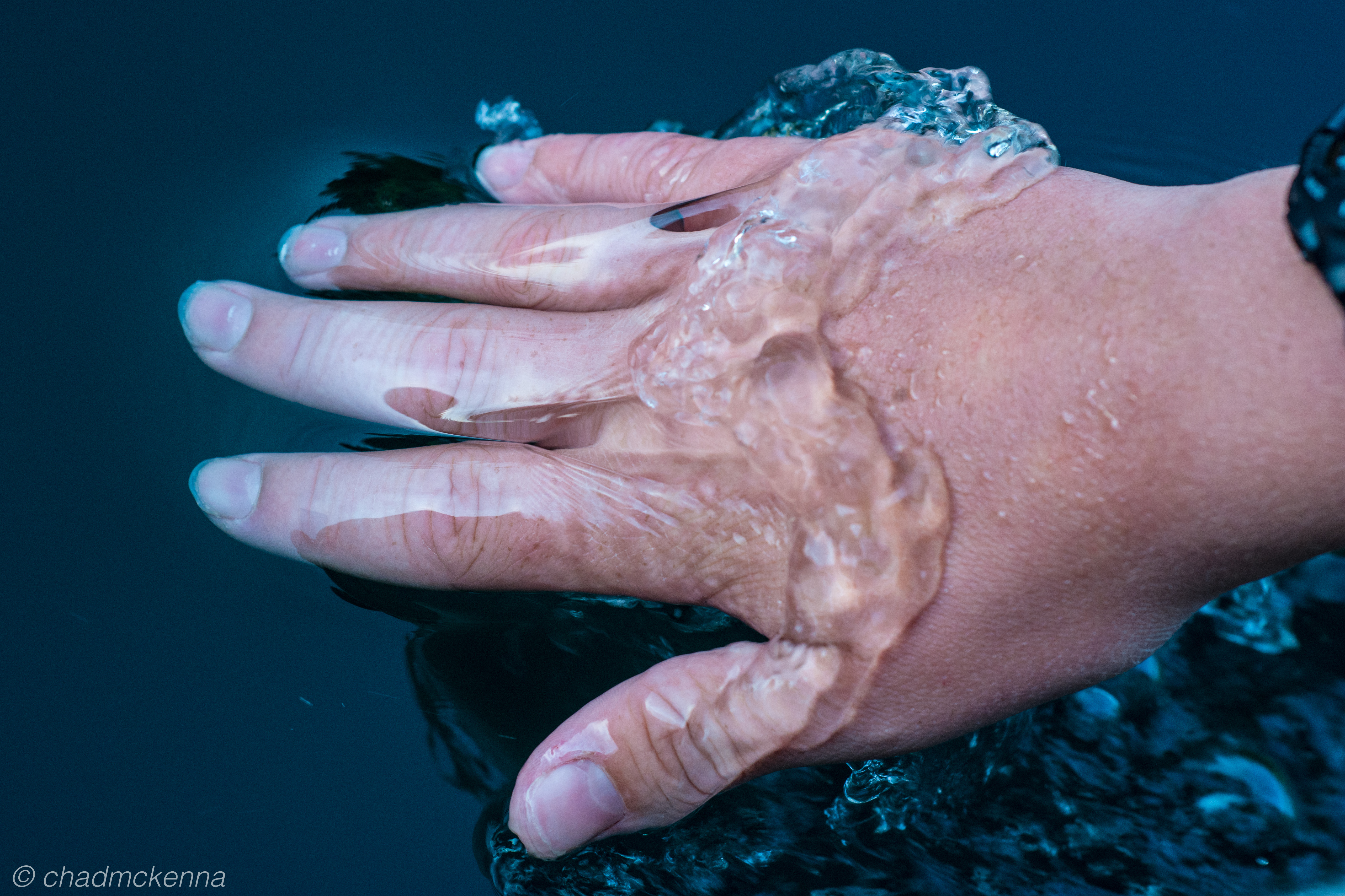 20150801-DSC_8030-25