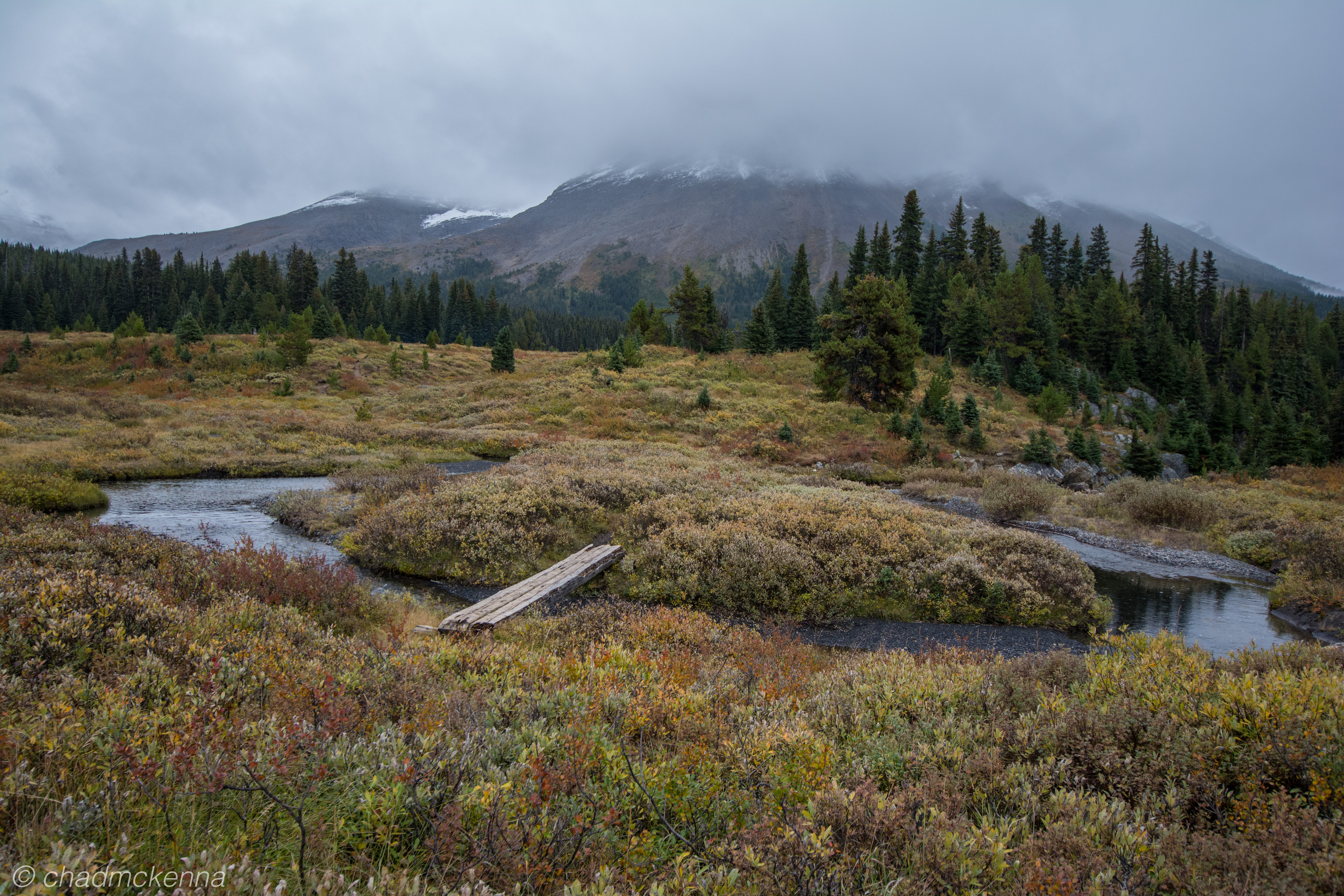 20150905-DSC_8339-10