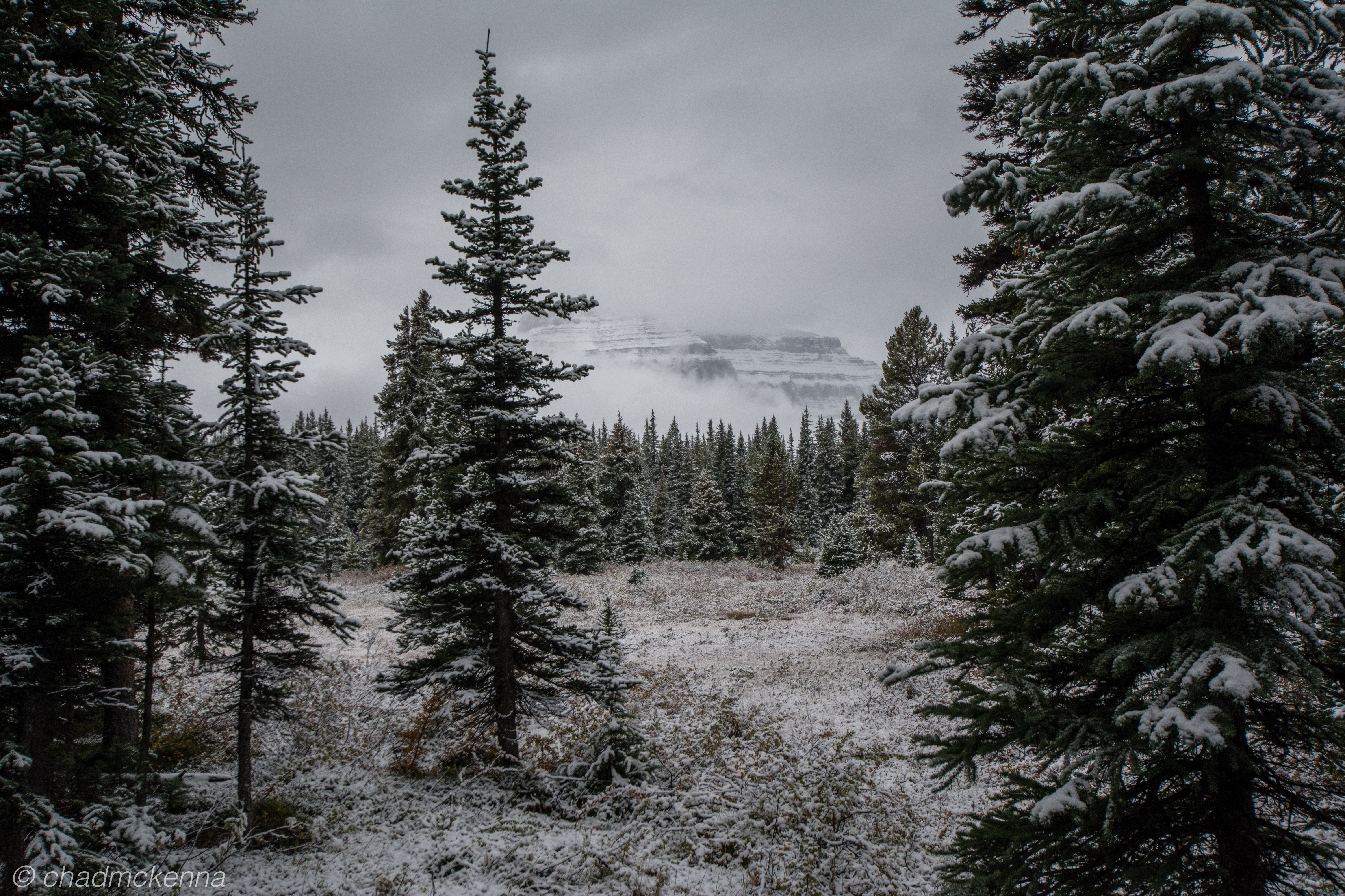 20150906-DSC_8349-12