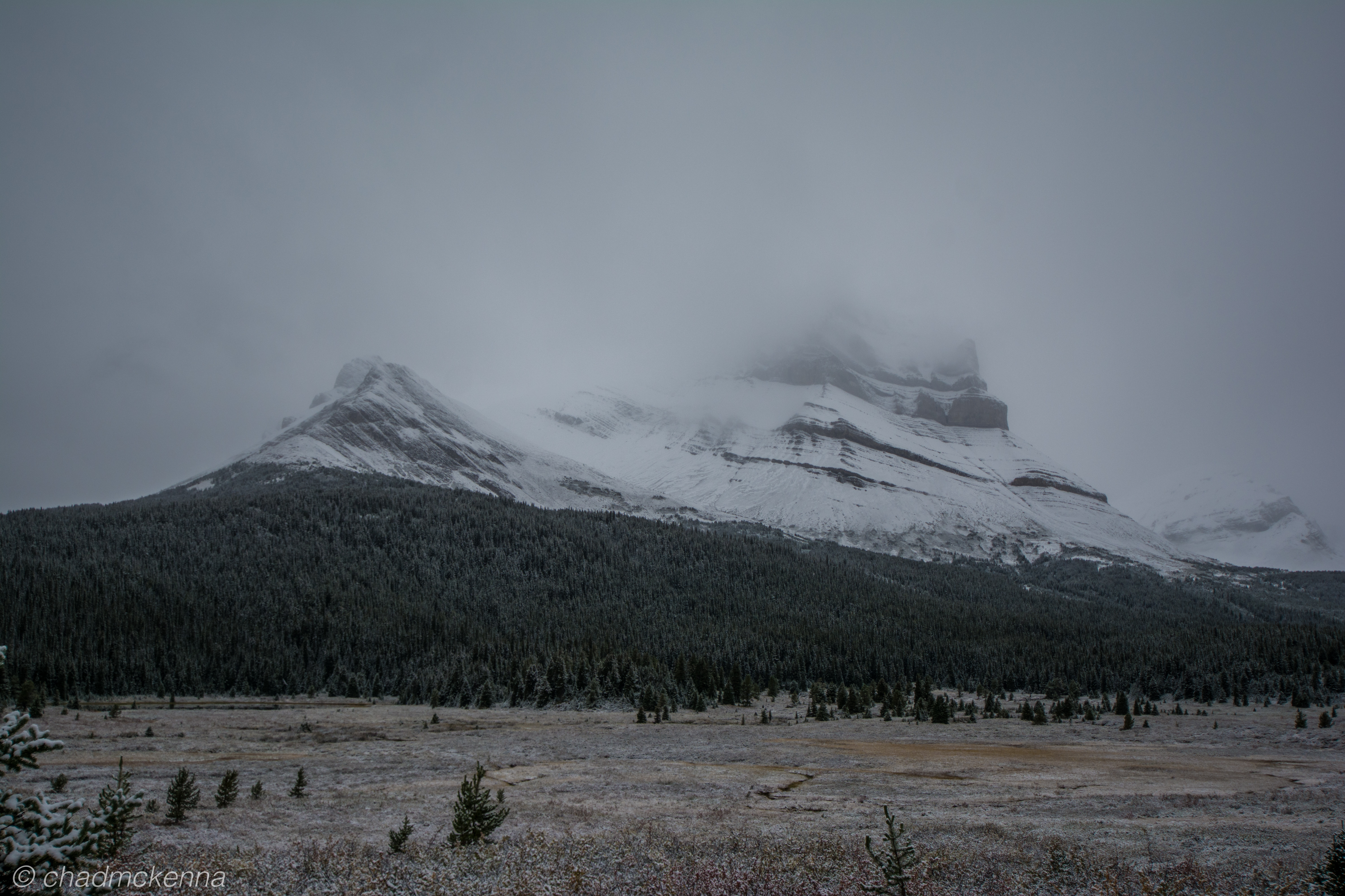 20150906-DSC_8355-13