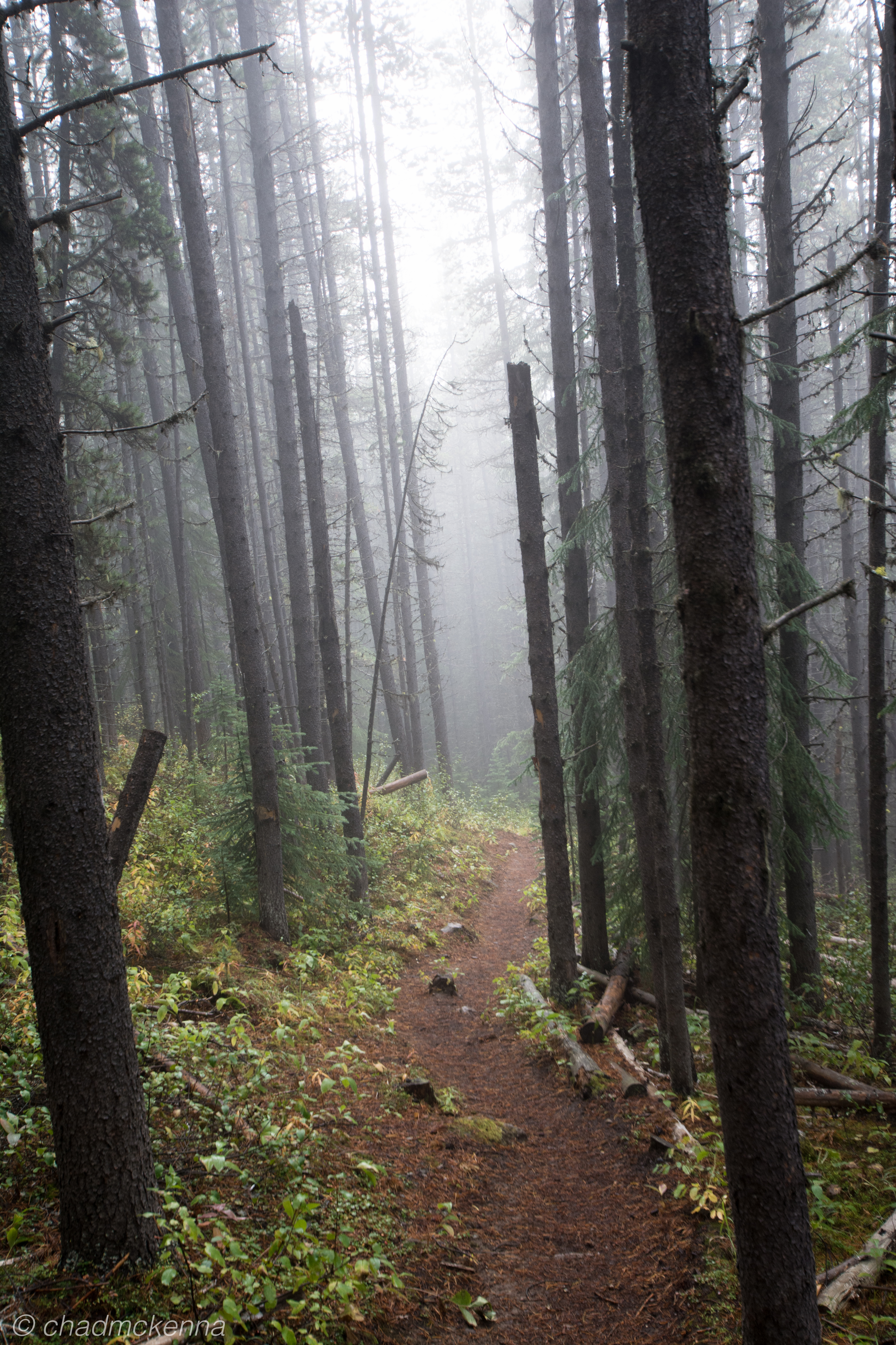 20150906-DSC_8400-16