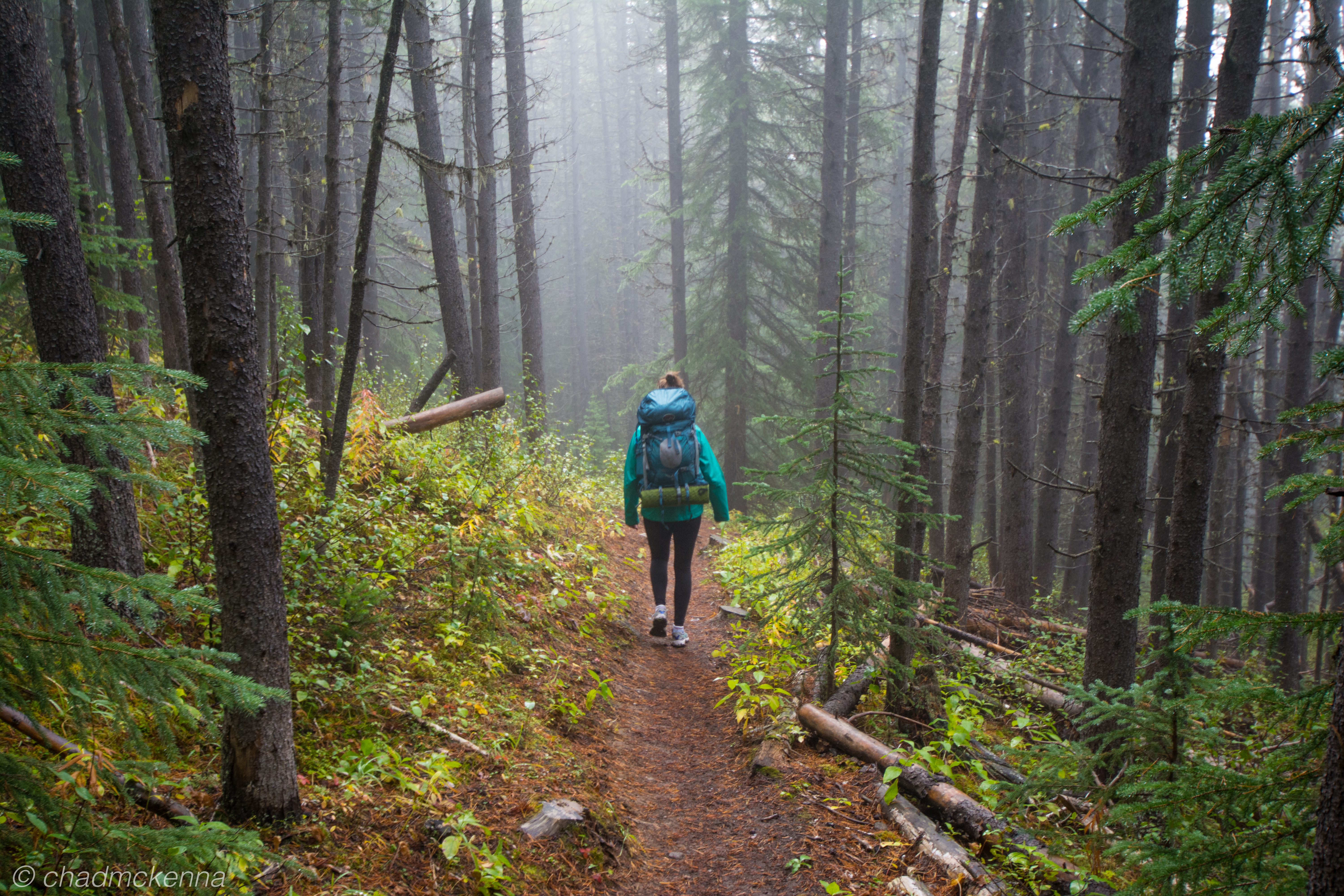 20150906-DSC_8401-17