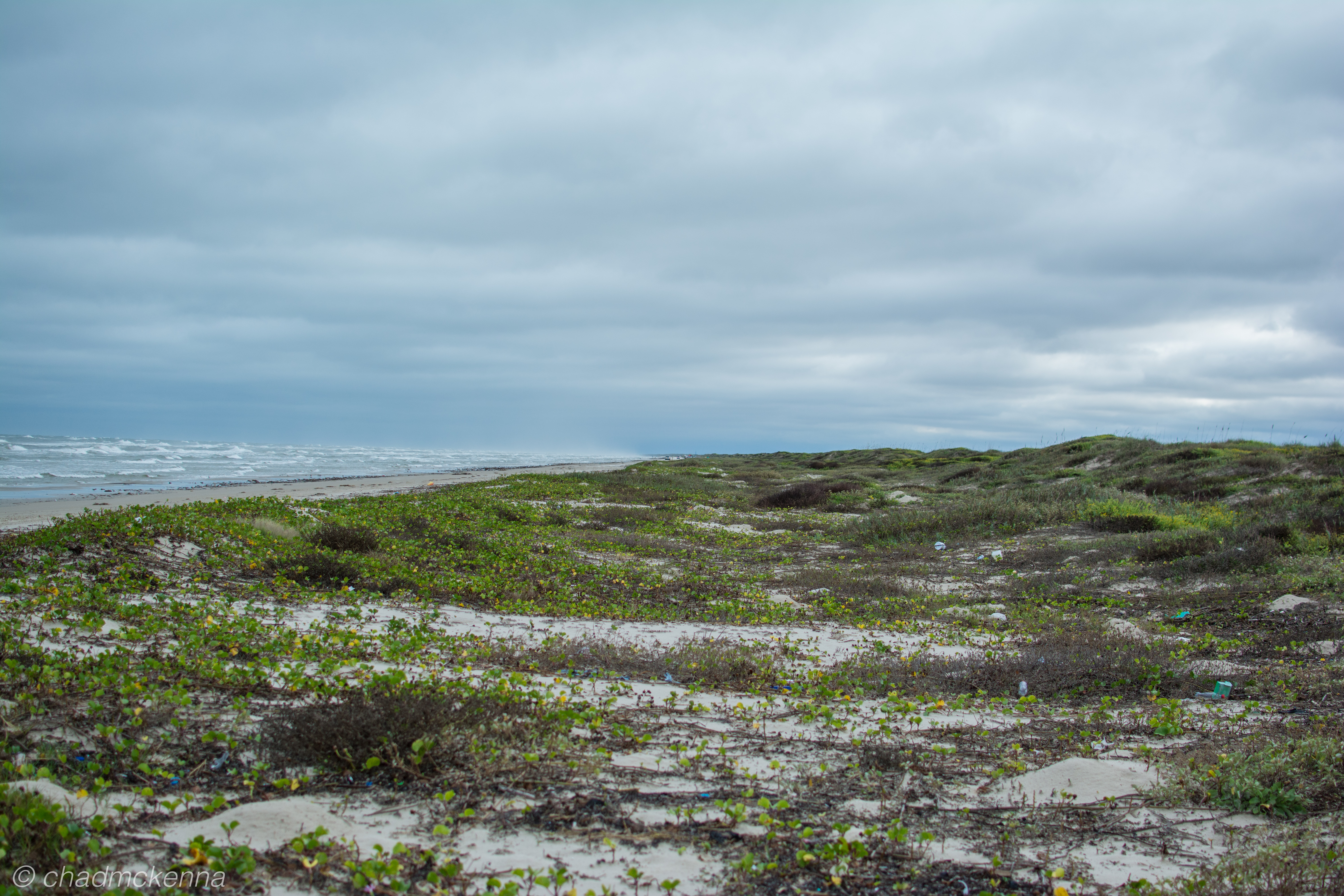 Road Trip to the Texas Coast