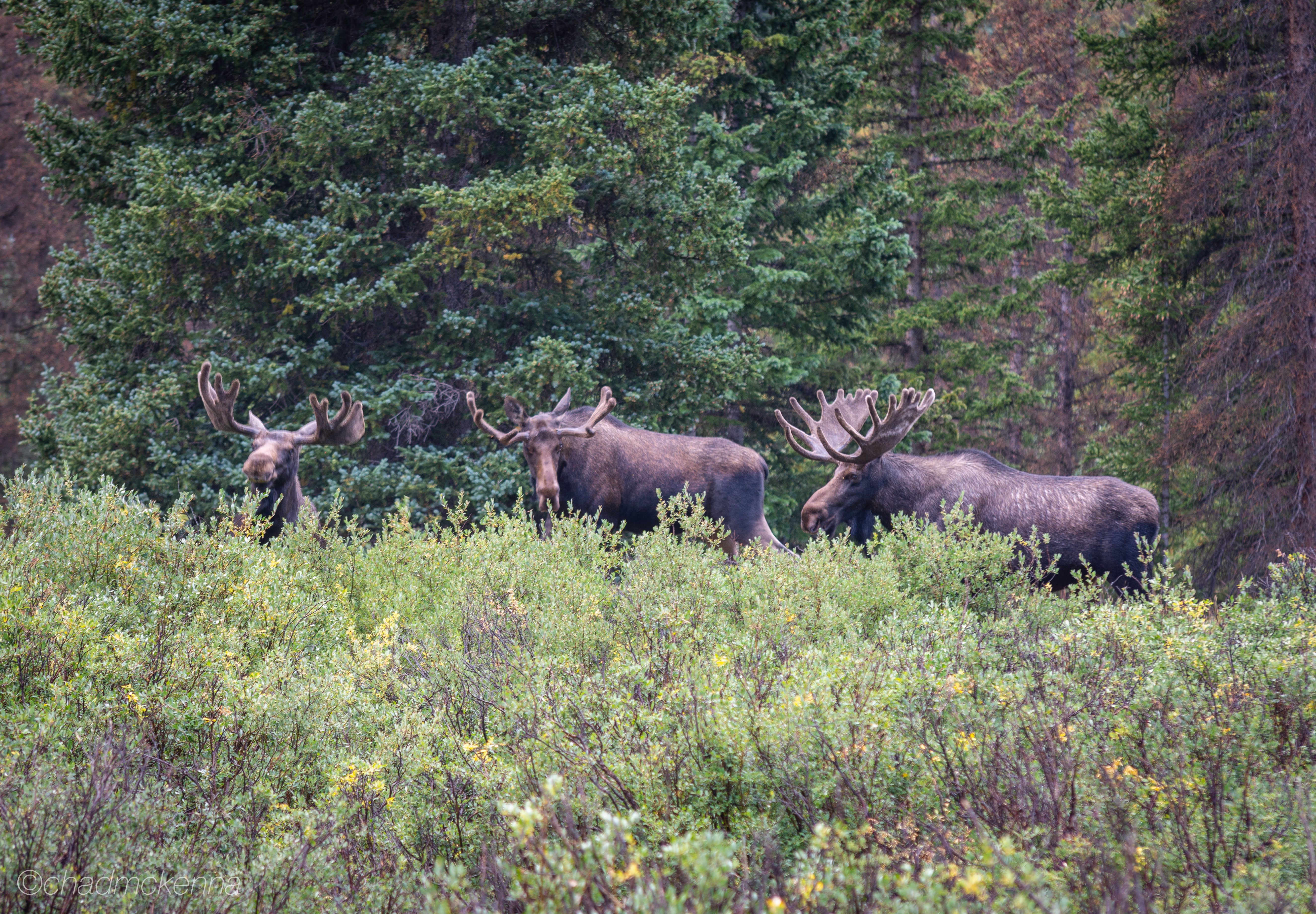 Summer Camping and Four Wheeling