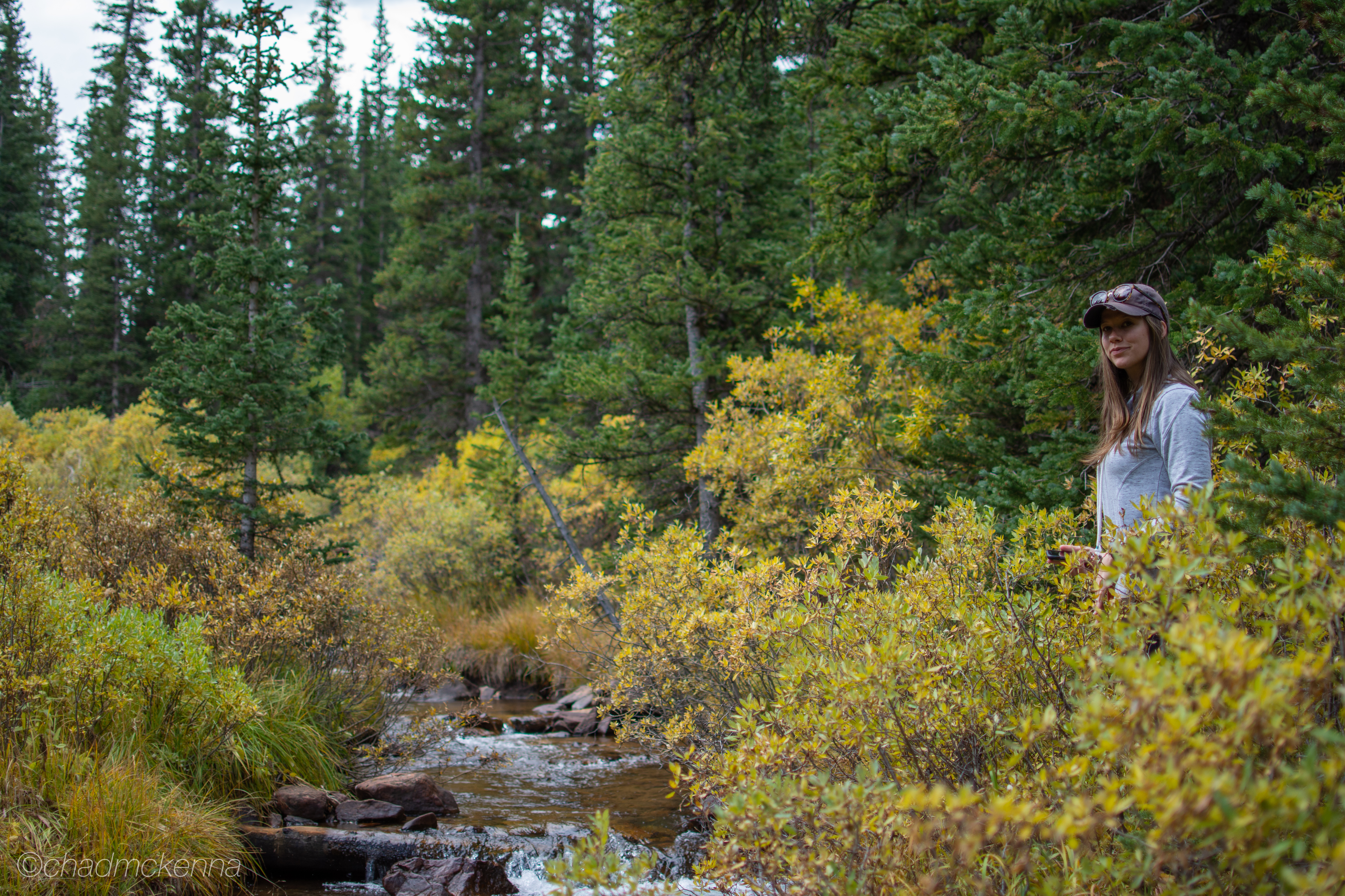 Leaf Peeping on Guenella Pass