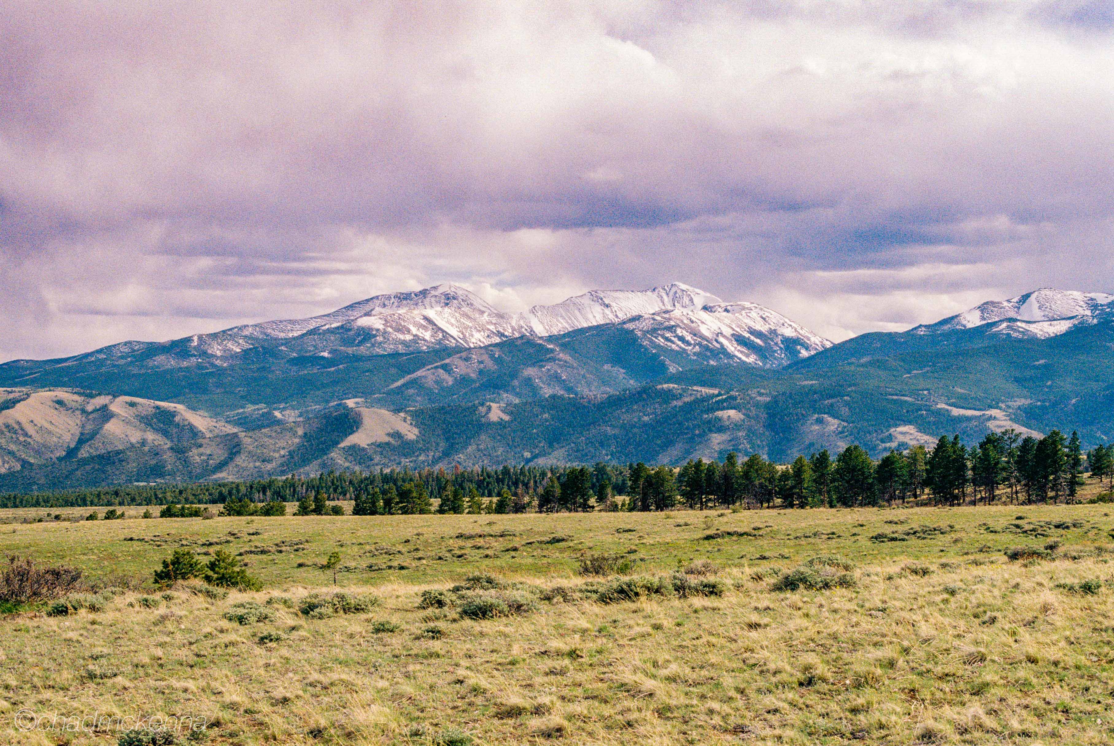 Spring Time in Poncha